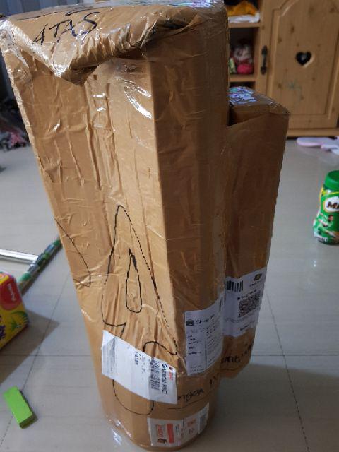 New Produck!! Paket 3 Tanaman Hias Kamboja Adenium - Sakda - Lageya - Sunny Day - Paket Hemat