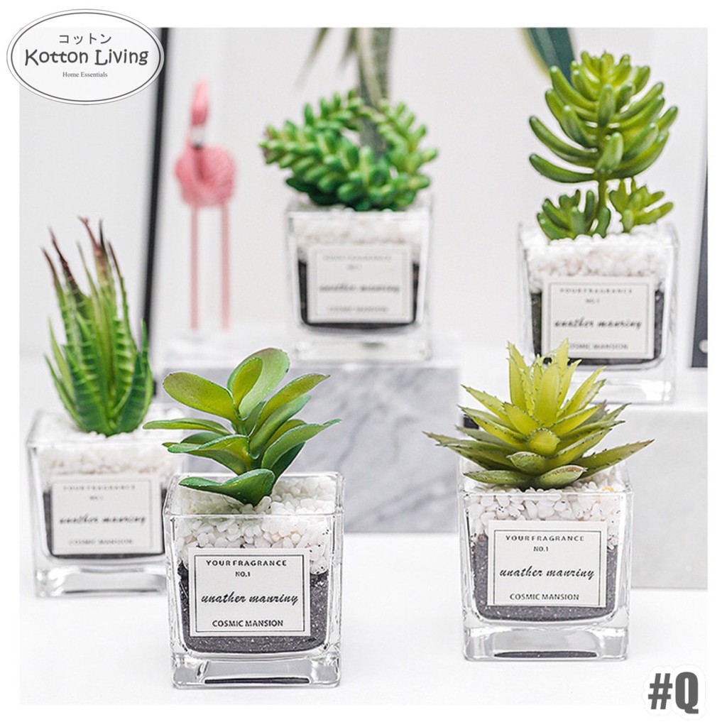 VAS MEJA / ORNAMEN TANAMAN MEJA / DEKORASI MEJA KAMAR / VAS KACA UNIK LUCU / KAKTUS MEJ JOC Q