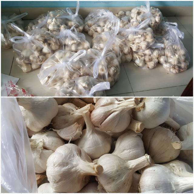 

Bawang putih kating utuh