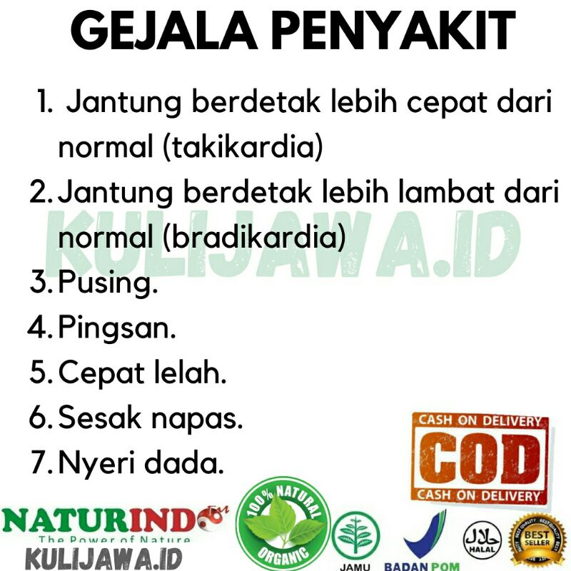 Obat Aritmia Jantung Lemah Berdebar Kencang Lambat Nyeri Dada Sesak Nafas Gelisah Lelah Pingsan Herbal Jamu Tradisional Ampuh-2