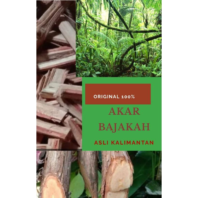 

BAJAKAH Asli Kalimantan/100 gr