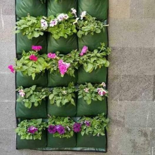 (DISKON) Pot Tanaman Pot Bunga Wall Planter Bag Dinding Planterbag Polybag Tanaman Pot Dinding Gantu