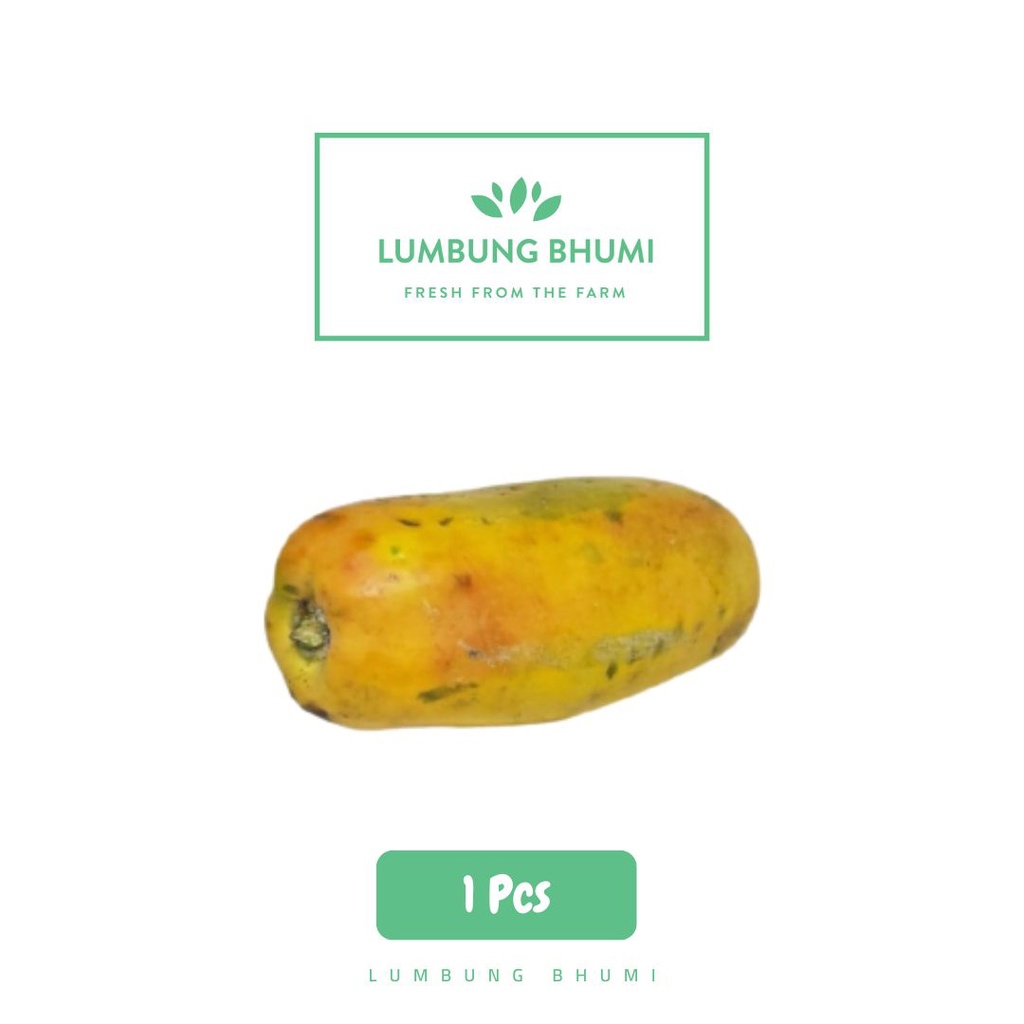 

Pepaya California Buah 1 Pcs - Lumbung Bhumi