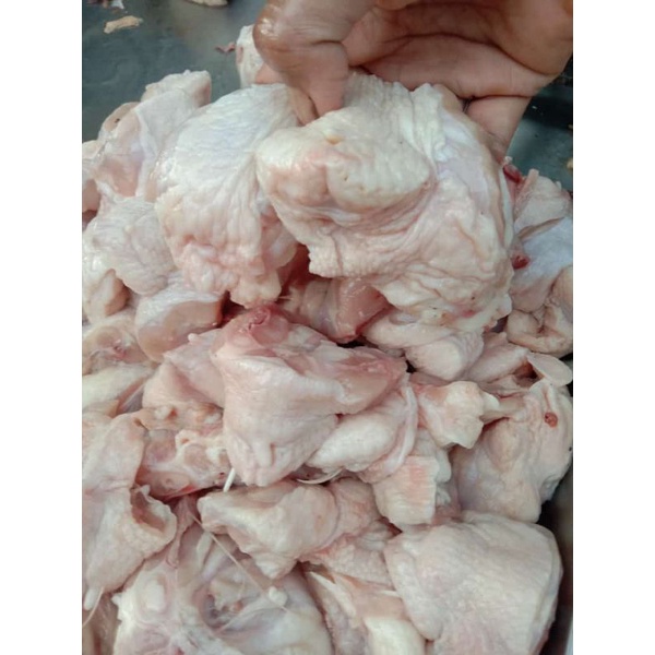 

brutu/tunggir ayam