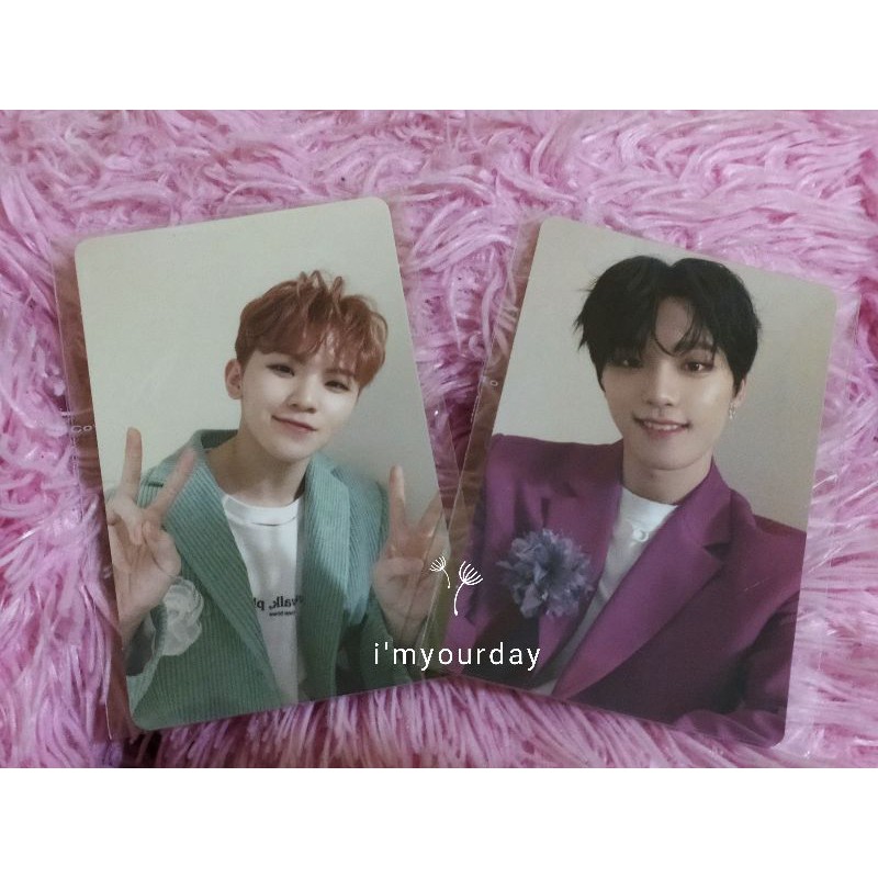 [READY STOCK] PC FALLIN FLOWER WOOZI & DINO