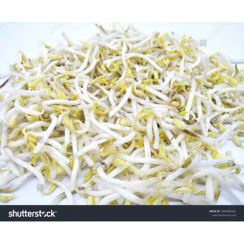 

TOGE/TAUGE PANJANG 150GRAM