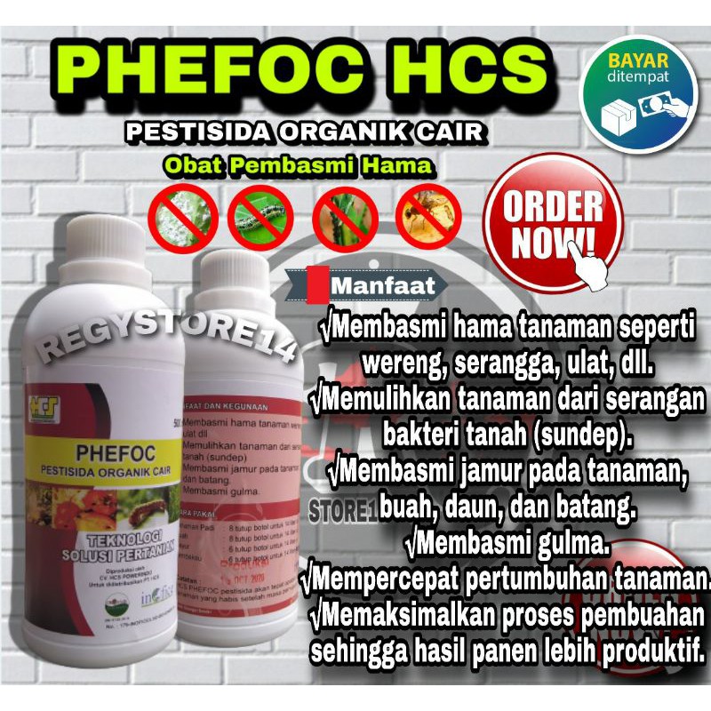 PHEFOC HCS PESTISIDA ORGANIK CAIR OBAT PEMBASMI HAMA