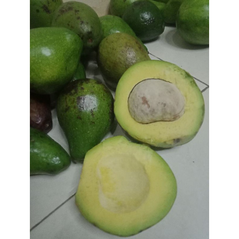 

Alpukat mentega 1kg