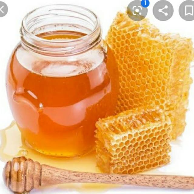 

Madu Sialang Hutan Sumtera Barat Harga 1/4