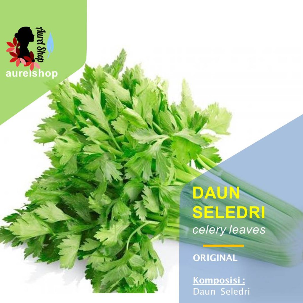 

Daun Seledri Segar 1 kg