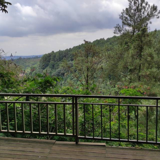 budiyana818