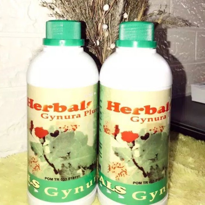 

Gynura Plus 500 Gram Herbals Ginura Obat Herbal Daun Dewa Minuman Ramuan Sehat Segar Original
