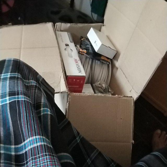 Bibit Kelapa Hijau Hibrida