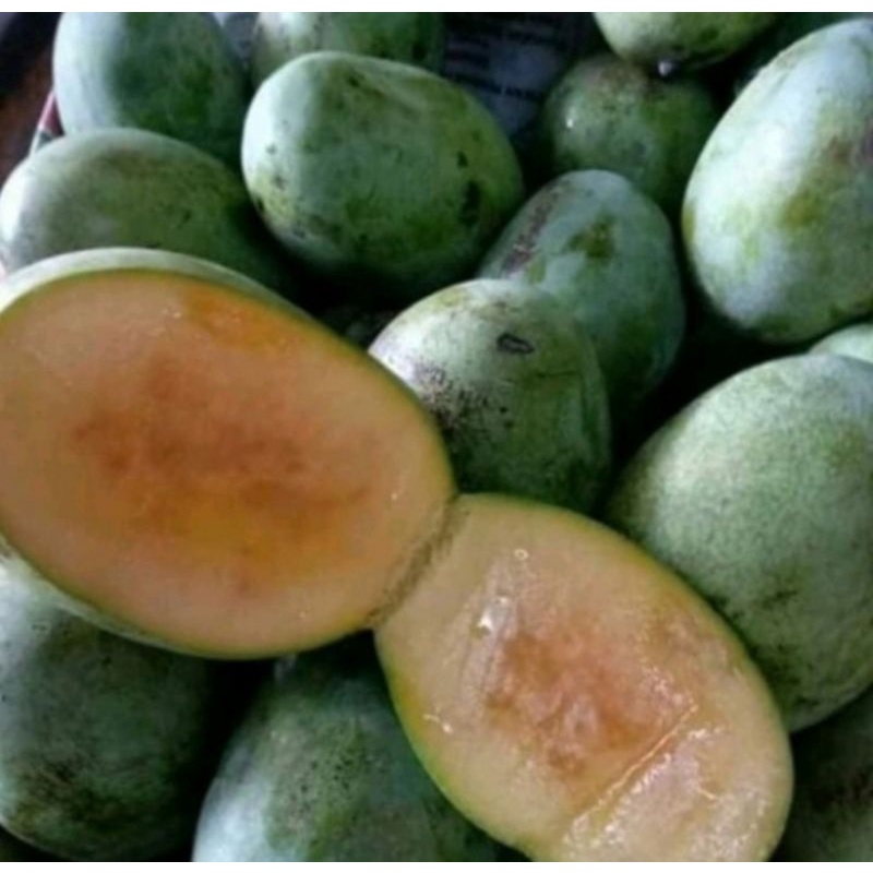 

mangga manalagi madu 1 kg