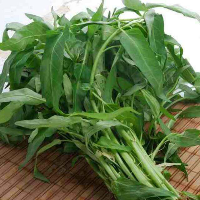 

Kangkug