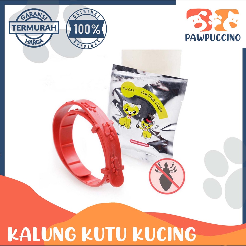 Kalung Anti Kutu Kucing