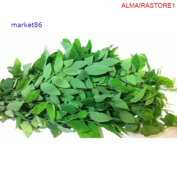 

Grosir Sayuran Segar Sayur FRESH Daun Katuk Per Ikat - Market86