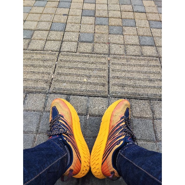 Sepatu Hoka one one speedgoat 4 trail mens