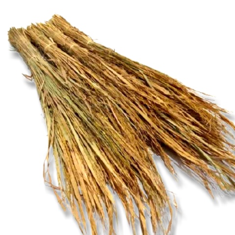 [MURAH]MERANG DARI POHON PADI/JERAMI PADI/MERANG JERAMI