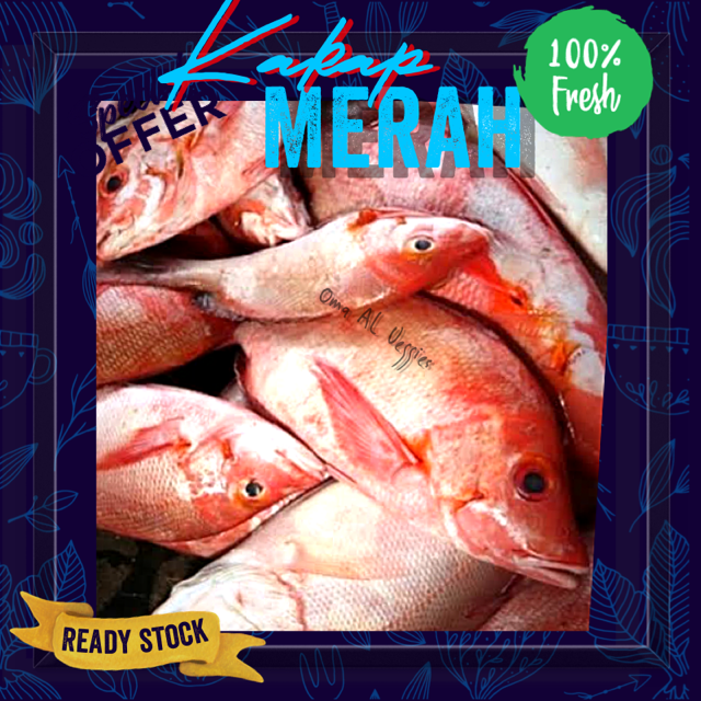 

IKAN KAKAP MERAH 500 GRAM / FRESH RED SNAPPER IKAN SEGAR
