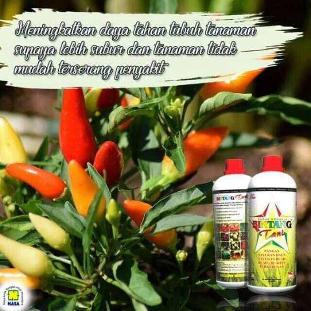 pupuk bintang tani nasa