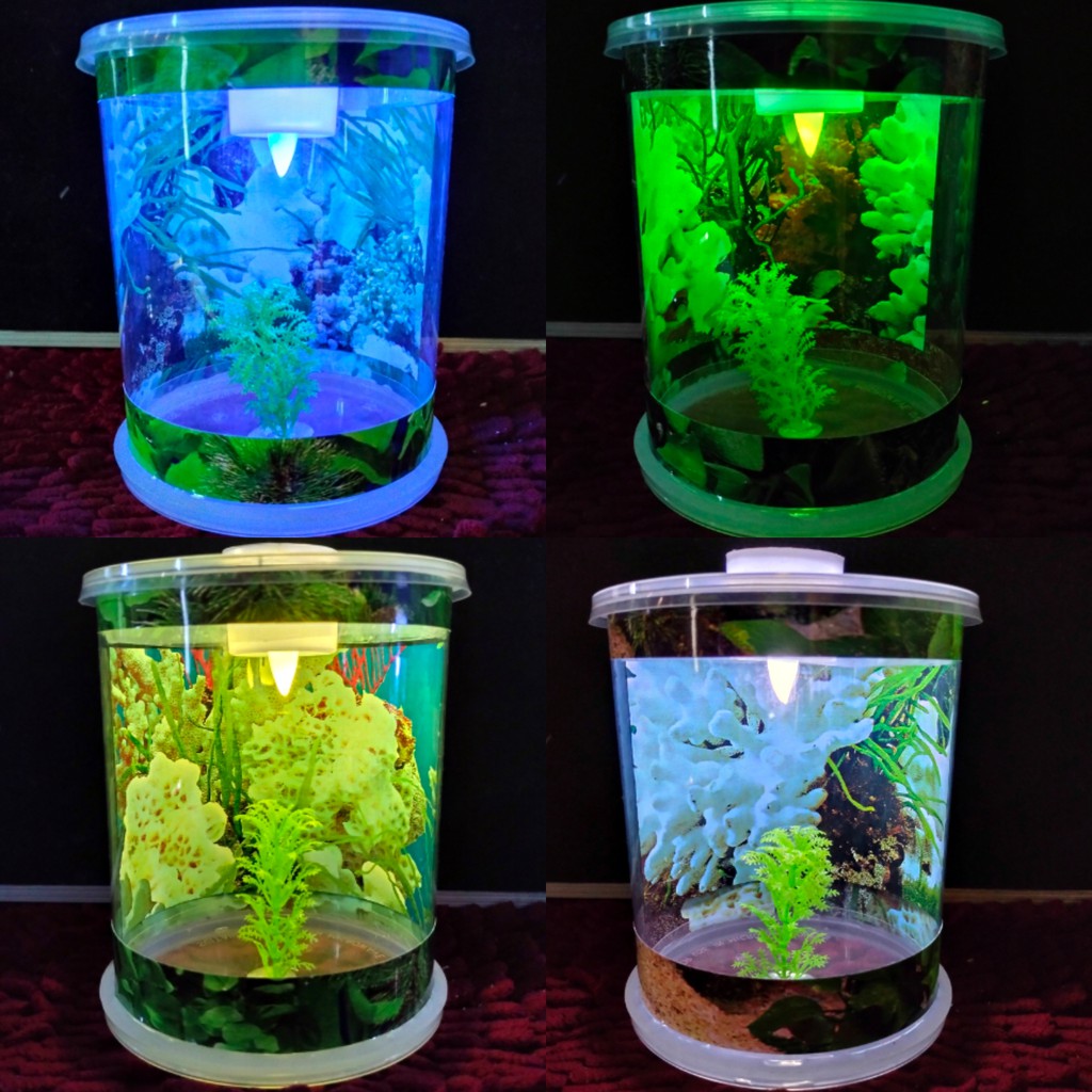  Aquarium  Mini  Tabung Kecil Lengkap dengan Lampu  LED TBG12 