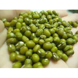 Kacang Hijau Import Australia Large Green Mung Beans 500g