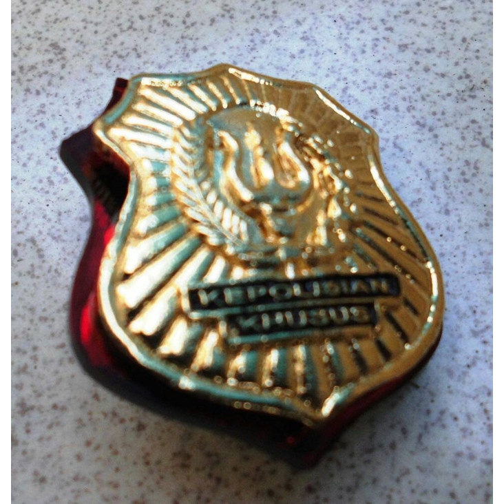 

s50d10x Pin Polsus Dasar Akrilik D501Cnf