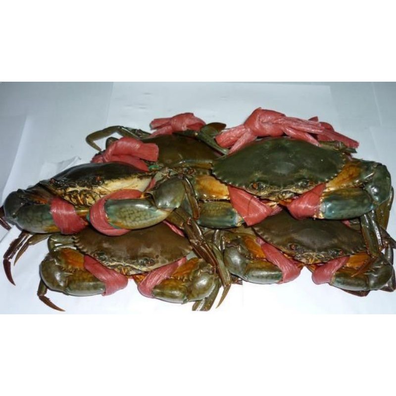 

Bisa Kirim Instan - Kepiting Segar
