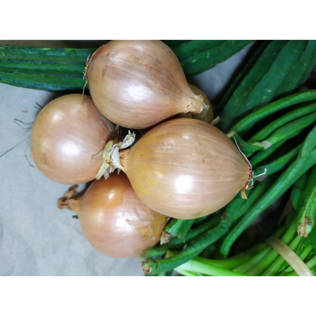 

Bawang Bombai 250 gram (GoSend Only)
