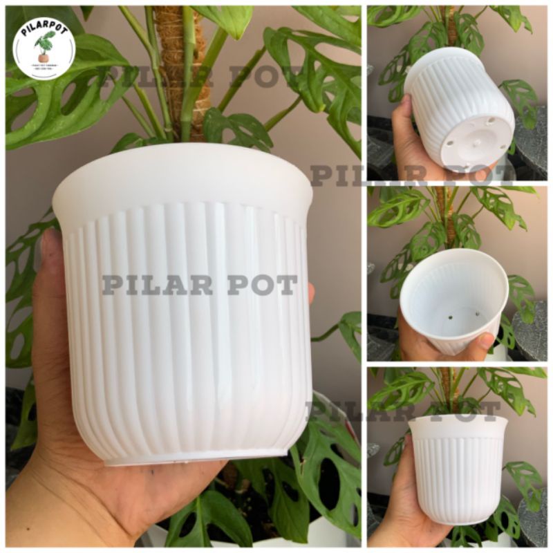 pot bunga tanaman DJP GUCCY 12T PUTIH diameter 12cm - GUCCY 12 PUTIH