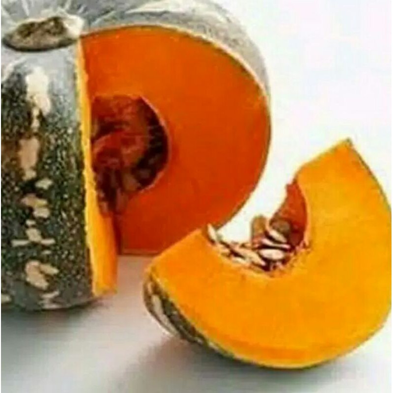 6 biji benih bibit labu kuning  super