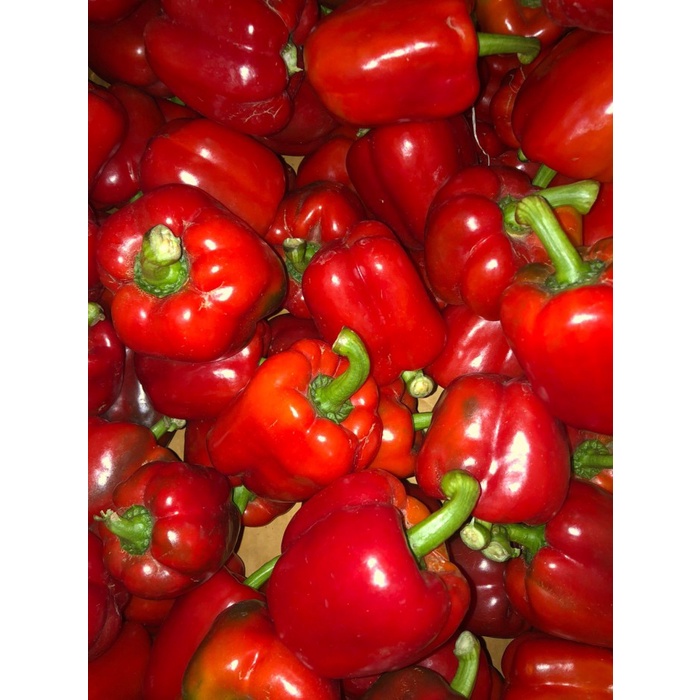 

Paprika Merah Fresh - setengah kilo