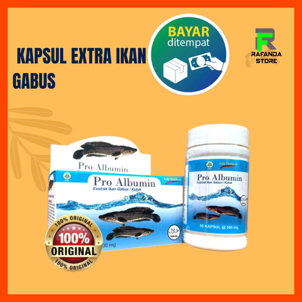 Pro albumin Ekstrak Ikan Gabus