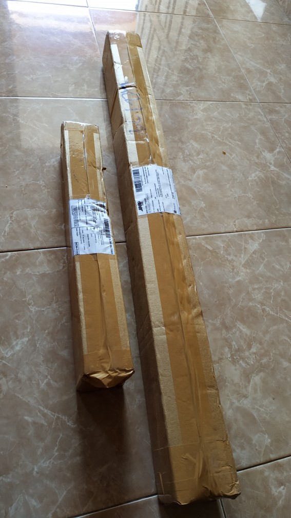 Bibit Tanaman Hias Daun Aglaonema Lipstiksian Aurora