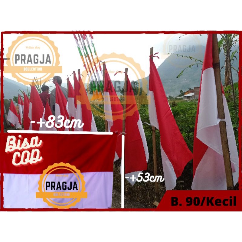 Bendera merah putih isi 20pic