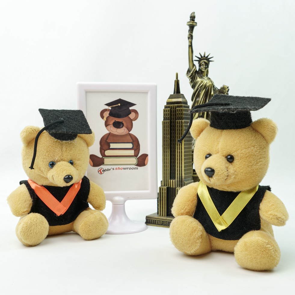 Boneka Wisuda imut /boneka souvernir / boneka mini 15 cm harga produsen / boneka Beruang Mini