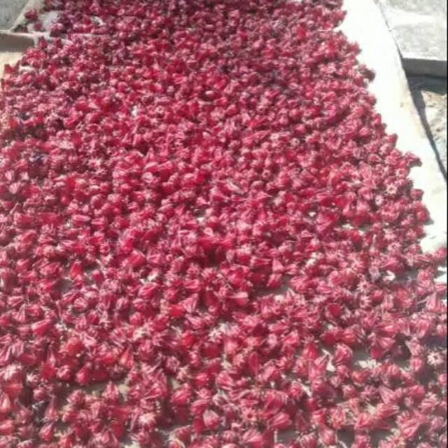 

Bunga rosella kering 1kg siap seduh rosela super rosella merah