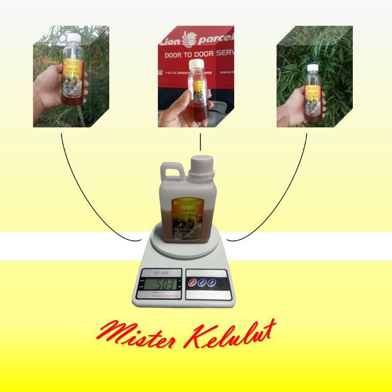 

Madu Kelulut Kalmantan Asli