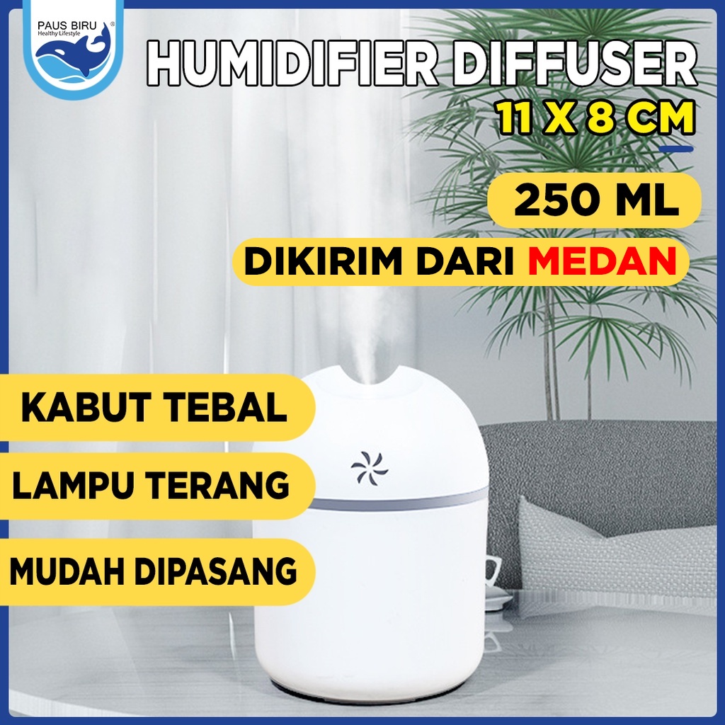 ALL IN ONE DIFFUSER / Portable Humidifier Diffuser USB / Mini Air Purifier Aromatherapy Essential Oil Difuser / Air Fresheners-1
