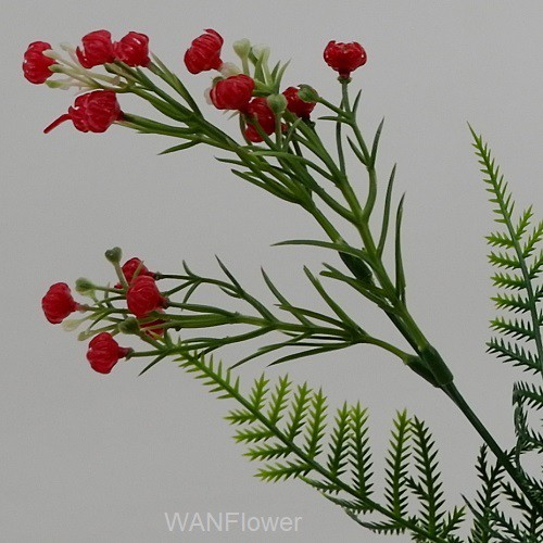 WANFLOWER Daun Pakis BabyBreath X5 * ALL