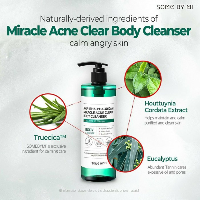 [BPOM] Some By Mi SOMEBYMI - AHA BHA PHA 30 Days Miracle Acne Clear Body Cleanser 400g