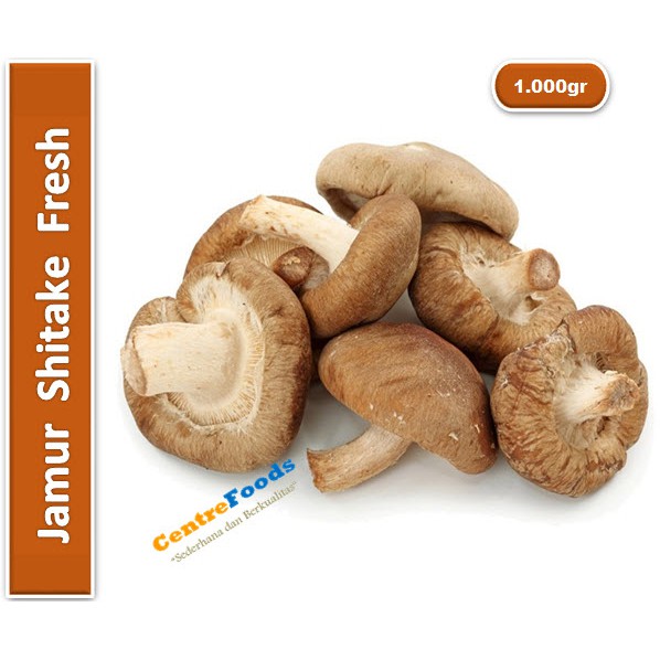 

Jamur Shitake Fresh | Import [ Harga Per KG ]