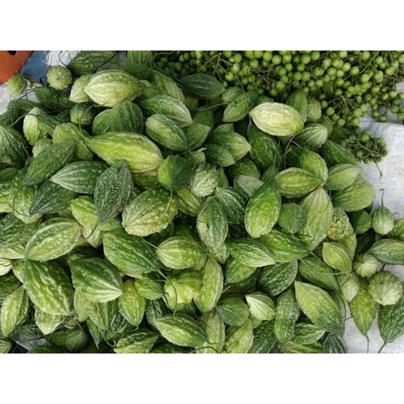 

Buah pare hutan atu pare kecil 200 grm