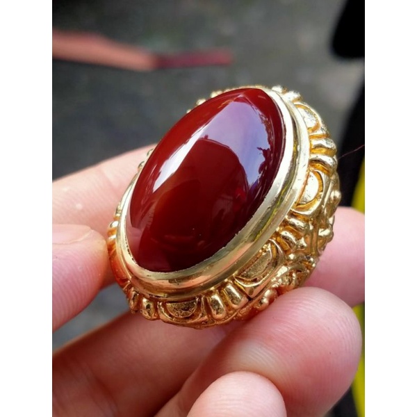 pandan merah jamblang