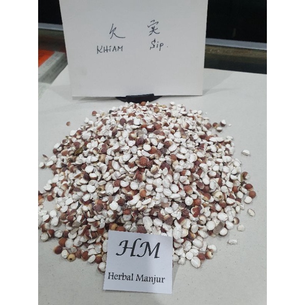 

Qian Shi / Khiam Sip / Euryale Seed