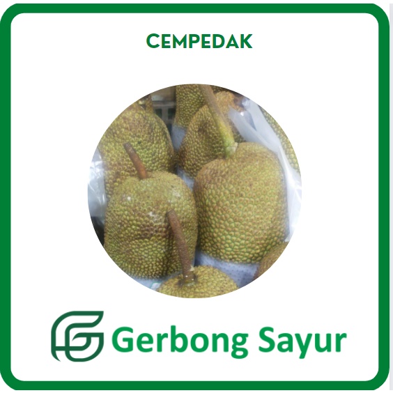 Buah Cempedak Segar - 1 Buah (2 Kg)