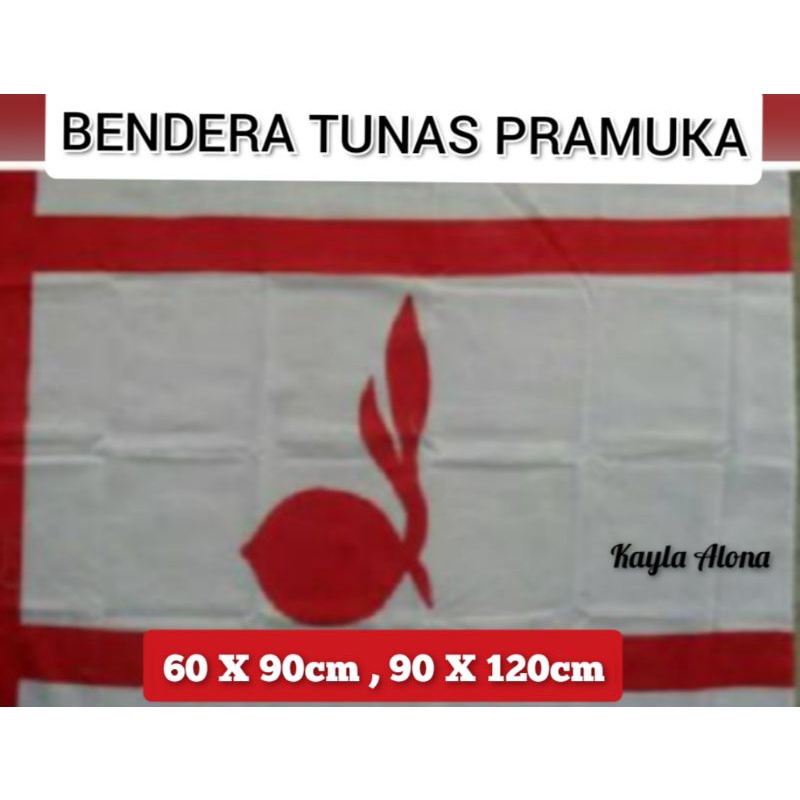 BENDERA TUNAS PRAMUKA