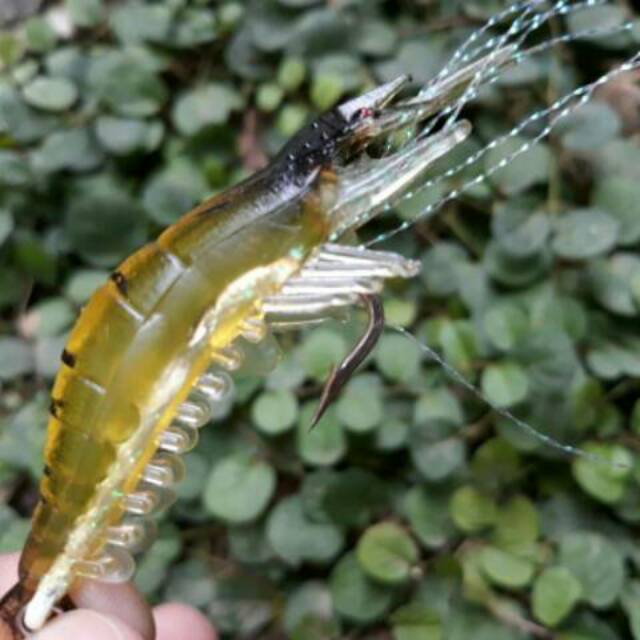 Umpan pancing udang buatan 8 cm untuk mancing di laut / udang elastis mancing di pantai