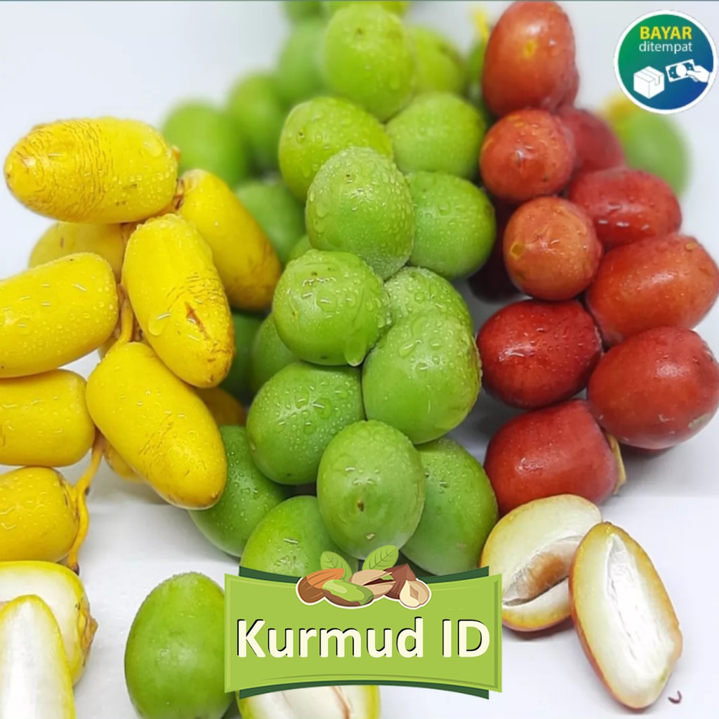 

Kurma Muda MIX / Ruthob Siwi warna Kuning, Hijau, Merah 1 KG